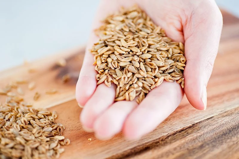 Simple Swaps to Help Meet your Daily Wholegrain Target