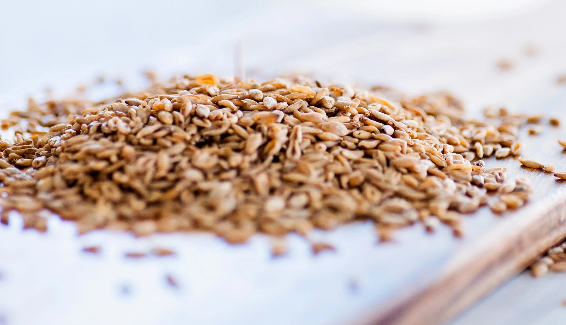 Wholegrains and Bowel Health