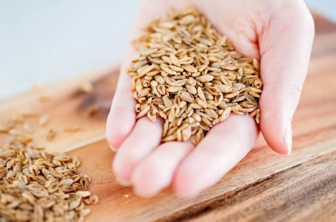 Wholegrains For Healthy Ageing